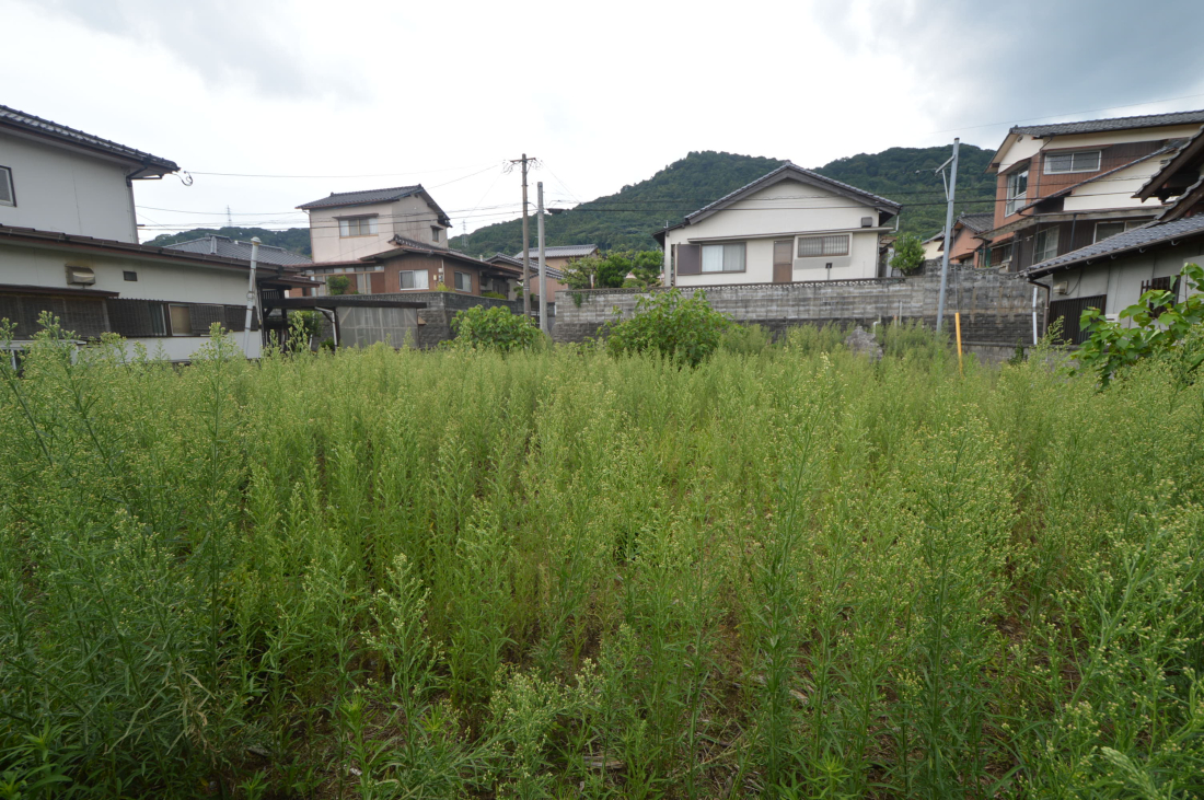 nynʐ^ -