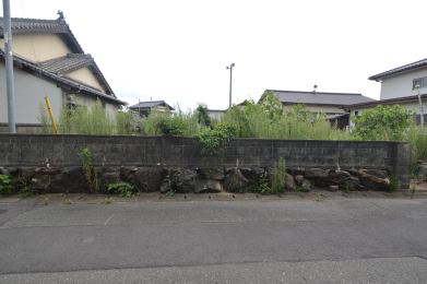 nynʐ^ -