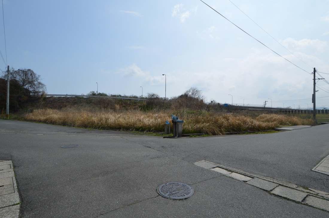 ���n�y�n�ʐ^ -