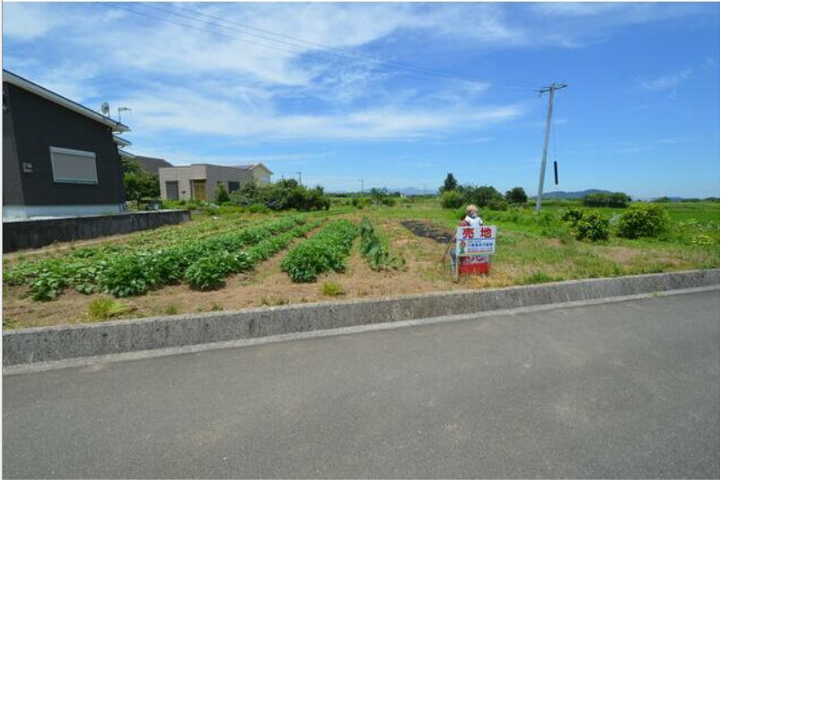 ���n�y�n�ʐ^ -